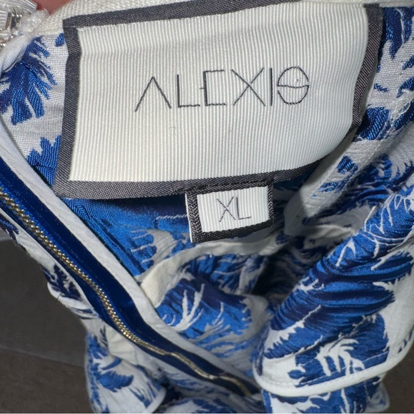 Alexis Lisel Dress Blue White Palm Jacquard Printed Mini Dress Size XL - Picture 13 of 14